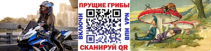 Псилоцибиновые грибы прущие грибы  МЕГА ТОР  Саратов 